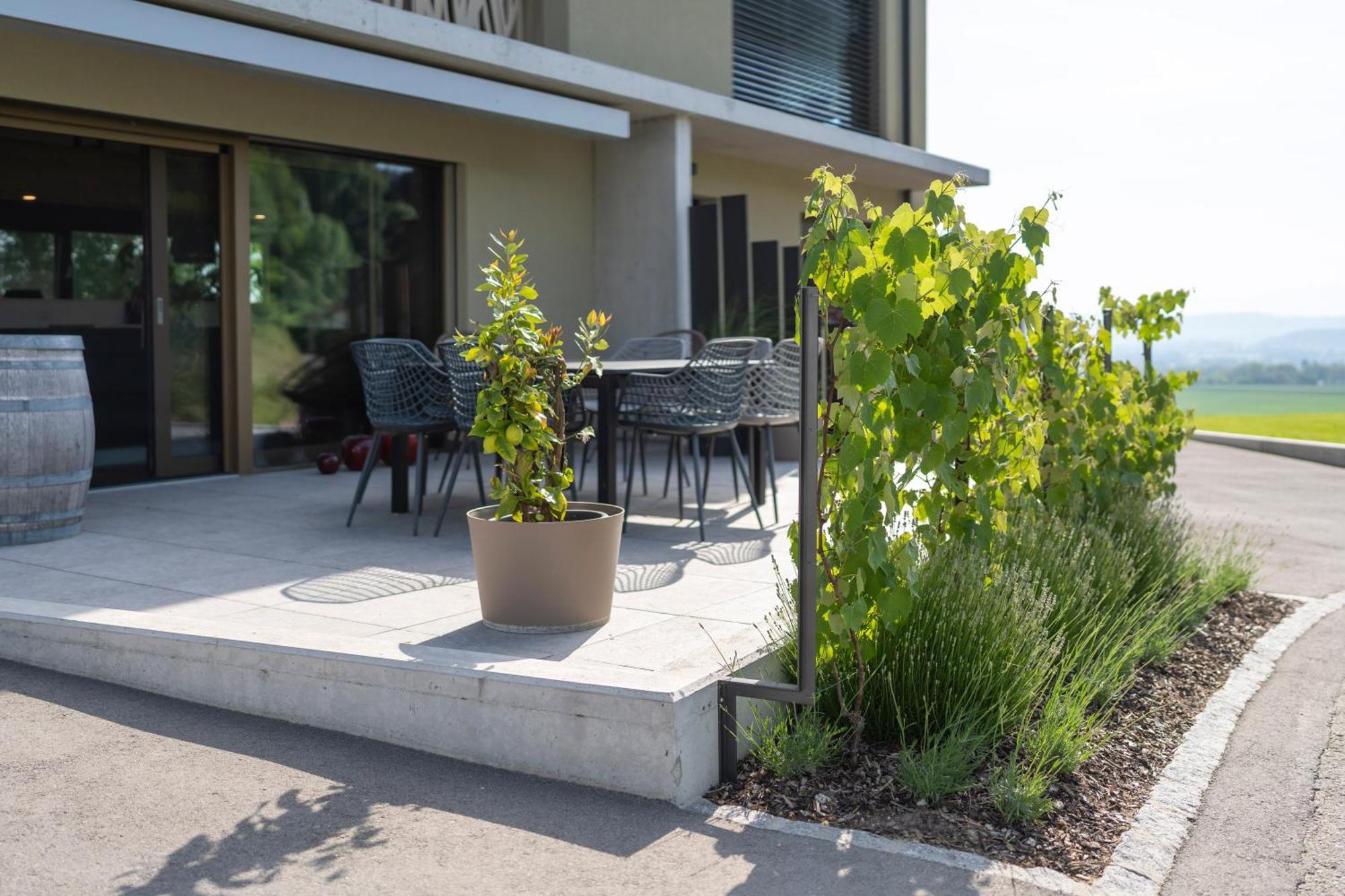 Le Rive Sud Hotell Estavayer-le-lac Eksteriør bilde